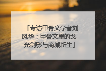 专访甲骨文学者刘风华：甲骨文里的戈光剑影与商城新生