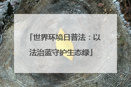 世界环境日普法：以法治蓝守护生态绿