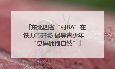 东北四省“村BA”在铁力市开场 倡导青少年“息屏拥抱自然”