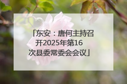 东安：唐何主持召开2025年第16次县委常委会会议
