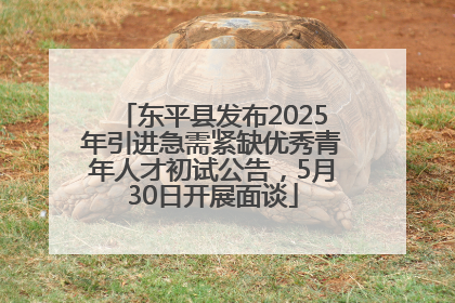 东平县发布2025年引进急需紧缺优秀青年人才初试公告，5月30日开展面谈