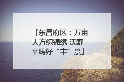东昌府区：万亩大方织锦绣 沃野平畴好“丰”景