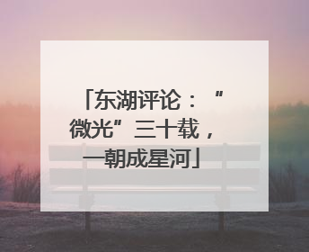 东湖评论：“微光”三十载，一朝成星河