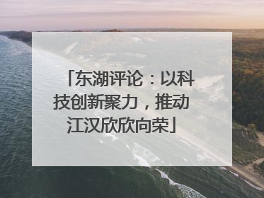 东湖评论：以科技创新聚力，推动江汉欣欣向荣
