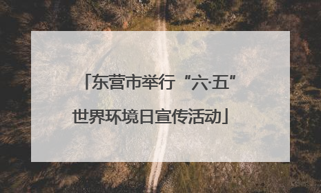 东营市举行“六·五”世界环境日宣传活动