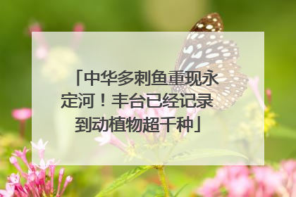 中华多刺鱼重现永定河！丰台已经记录到动植物超千种