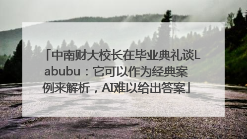 中南财大校长在毕业典礼谈Labubu：它可以作为经典案例来解析，AI难以给出答案