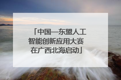 中国—东盟人工智能创新应用大赛在广西北海启动