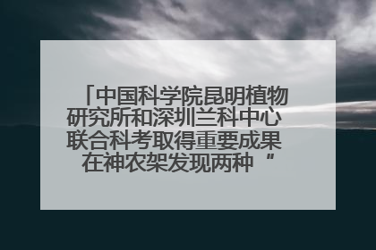 中国科学院昆明植物研究所和深圳兰科中心联合科考取得重要成果 在神农架发现两种“国保”级兰花