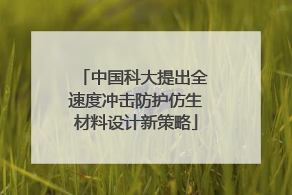 中国科大提出全速度冲击防护仿生材料设计新策略