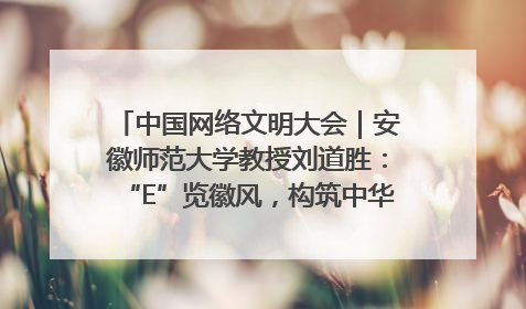 中国网络文明大会｜安徽师范大学教授刘道胜：“E”览徽风，构筑中华民族共有精神家园