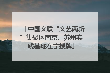 中国文联“文艺两新”集聚区南京、苏州实践基地在宁授牌