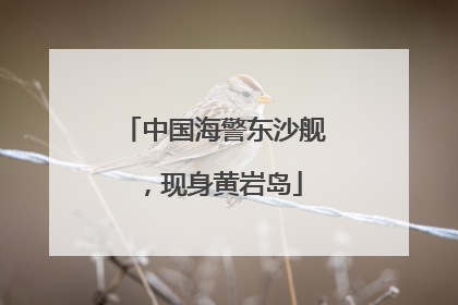 中国海警东沙舰，现身黄岩岛