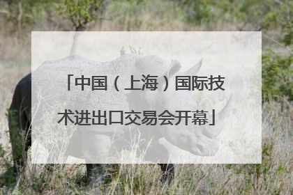中国（上海）国际技术进出口交易会开幕