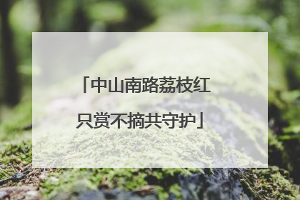 中山南路荔枝红 只赏不摘共守护
