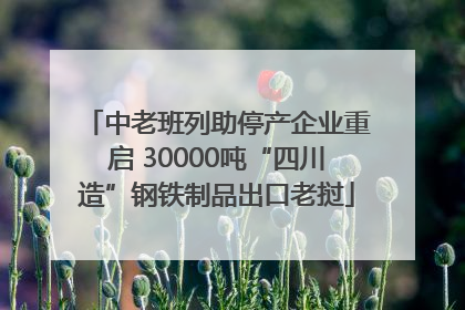 中老班列助停产企业重启 30000吨“四川造”钢铁制品出口老挝