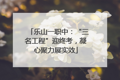 乐山一职中：“三名工程”迎终考，凝心聚力展实效