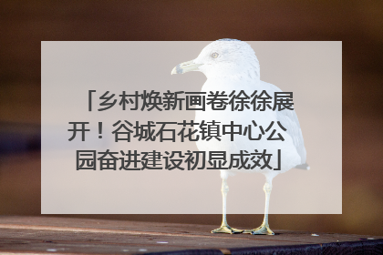 乡村焕新画卷徐徐展开！谷城石花镇中心公园奋进建设初显成效