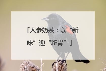 人参奶茶：以“新味”迎“新胃”