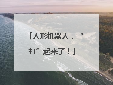 人形机器人，“打”起来了！