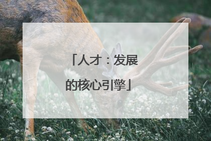 人才：发展的核心引擎