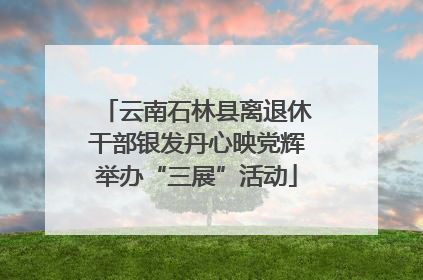 云南石林县离退休干部银发丹心映党辉举办“三展”活动
