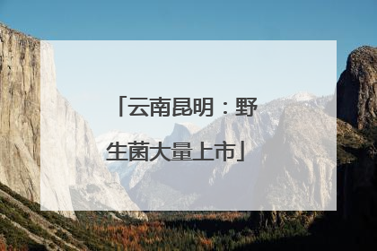 云南昆明：野生菌大量上市