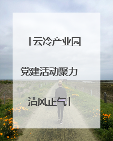 云冷产业园党建活动聚力清风正气
