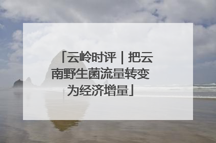 云岭时评｜把云南野生菌流量转变为经济增量