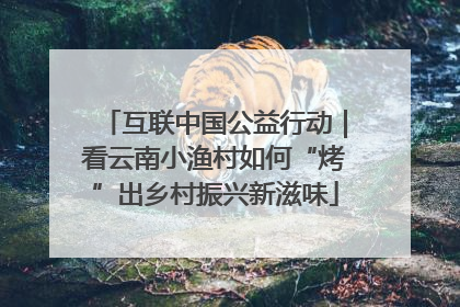 互联中国公益行动｜看云南小渔村如何“烤”出乡村振兴新滋味