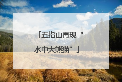 五指山再现“水中大熊猫”