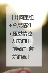 井网重组+分层精准+压裂精控 大庆油田“唤醒”薄差油藏