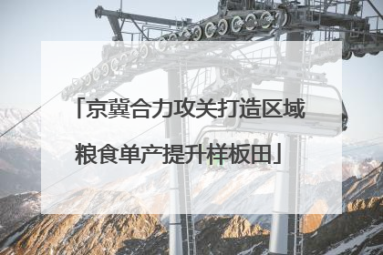 京冀合力攻关打造区域粮食单产提升样板田