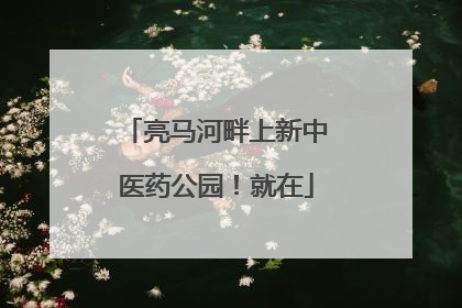 亮马河畔上新中医药公园！就在