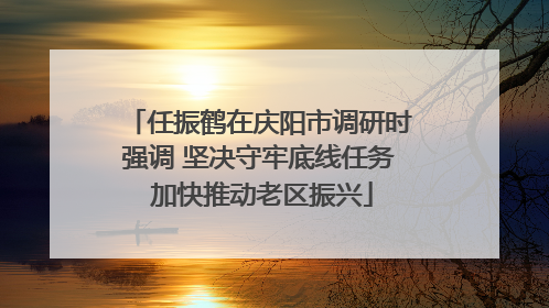 任振鹤在庆阳市调研时强调 坚决守牢底线任务 加快推动老区振兴