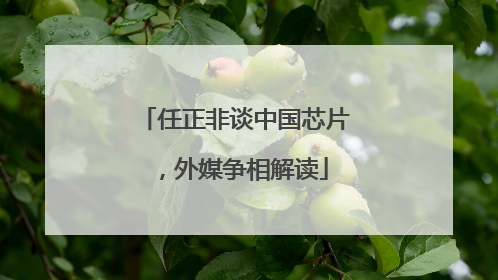 任正非谈中国芯片，外媒争相解读