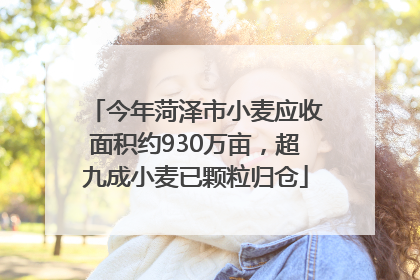 今年菏泽市小麦应收面积约930万亩，超九成小麦已颗粒归仓