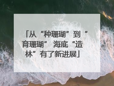 从“种珊瑚”到“育珊瑚” 海底“造林”有了新进展