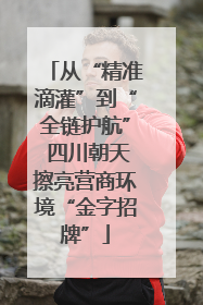 从“精准滴灌”到“全链护航” 四川朝天擦亮营商环境“金字招牌”