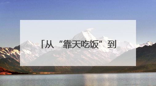 从“靠天吃饭”到“云端种地”！莱芜区“空天地网”织出数字农业新图景