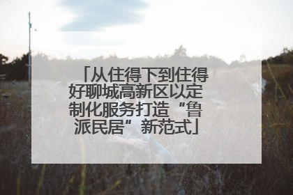 从住得下到住得好聊城高新区以定制化服务打造“鲁派民居”新范式