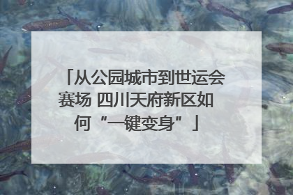 从公园城市到世运会赛场 四川天府新区如何“一键变身”