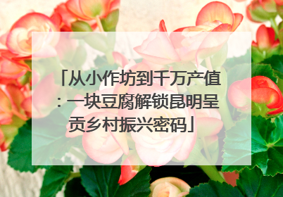 从小作坊到千万产值：一块豆腐解锁昆明呈贡乡村振兴密码