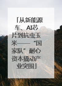 从新能源车、AI芯片到抗虫玉米——“国家队”耐心资本撬动产业突围