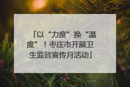 以“力度”换“温度”！枣庄市开展卫生监督宣传月活动