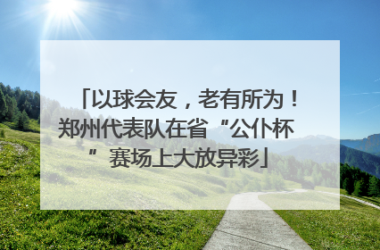 以球会友，老有所为！郑州代表队在省“公仆杯”赛场上大放异彩