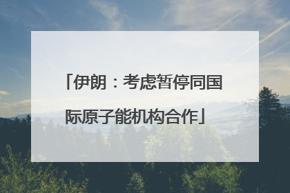 伊朗：考虑暂停同国际原子能机构合作