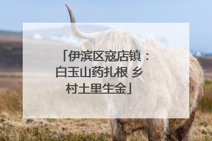 伊滨区寇店镇：白玉山药扎根 乡村土里生金