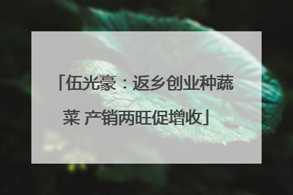 伍光豪：返乡创业种蔬菜 产销两旺促增收