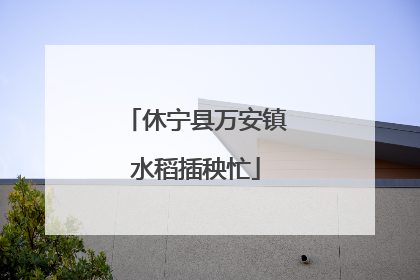 休宁县万安镇水稻插秧忙